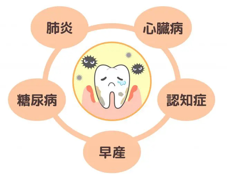 東京(綾瀬)の入れ歯専門外来、あやせ ほりきり中央歯科口腔機能クリニックの嚥下・咀嚼機能まで考慮した治療